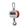 Bilancia a Gancio digitale per Gru