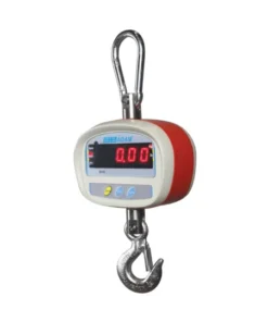 Bilancia a Gancio digitale per Gru