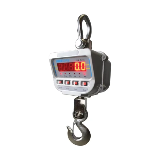 Bilancia dinamometrica digitale a gancio per gru